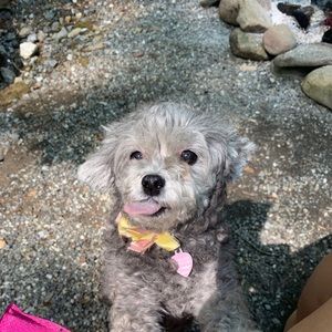 Meet your Posher, Genia